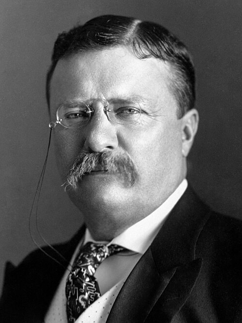 1904 United States presidential election